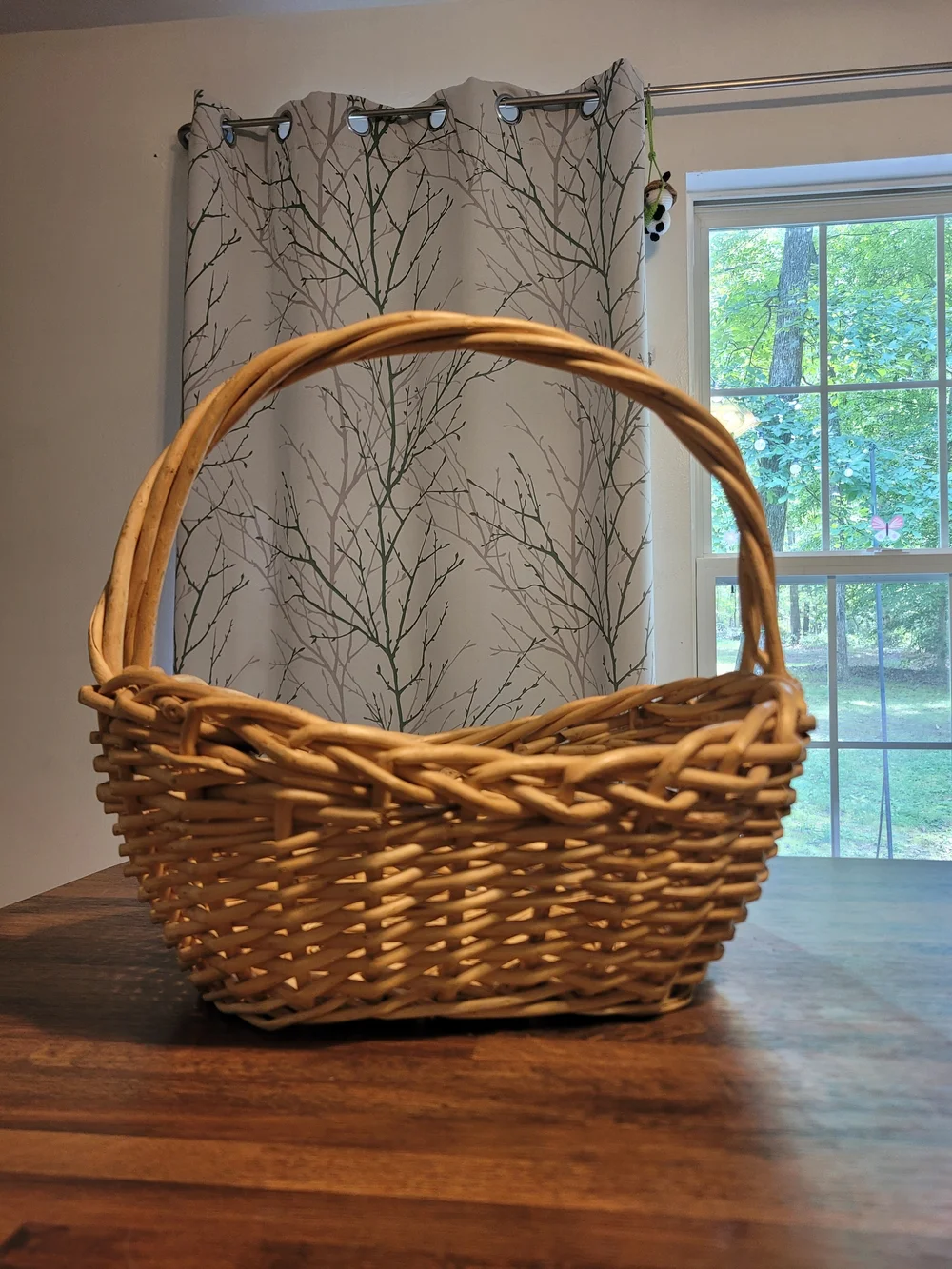 Woven Decorative Basket with Handle - Natural Tan